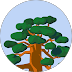 Ja Morn — Google reviewer profile