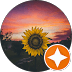 Yu-Chen Liu — Google reviewer profile
